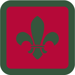 Scouts